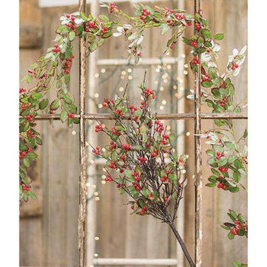 Holly & Berry Bush, 22